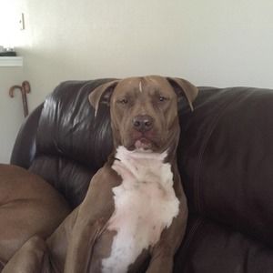 Meet your Posher, Jason